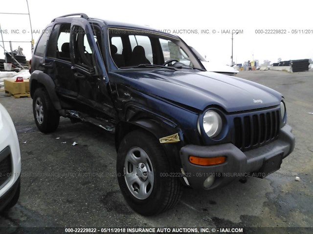 1J4GL48K24W258021 - 2004 JEEP LIBERTY SPORT BLUE photo 1