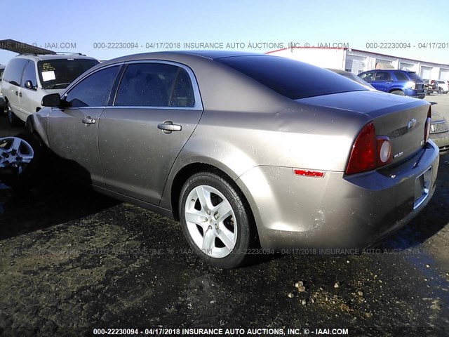 1G1ZA5E08AF112840 - 2010 CHEVROLET MALIBU LS 棕色 照片 3