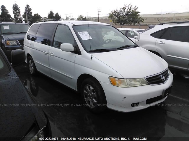 5FNRL18023B055810 - 2003 HONDA ODYSSEY EXL თეთრი ფოტო 1