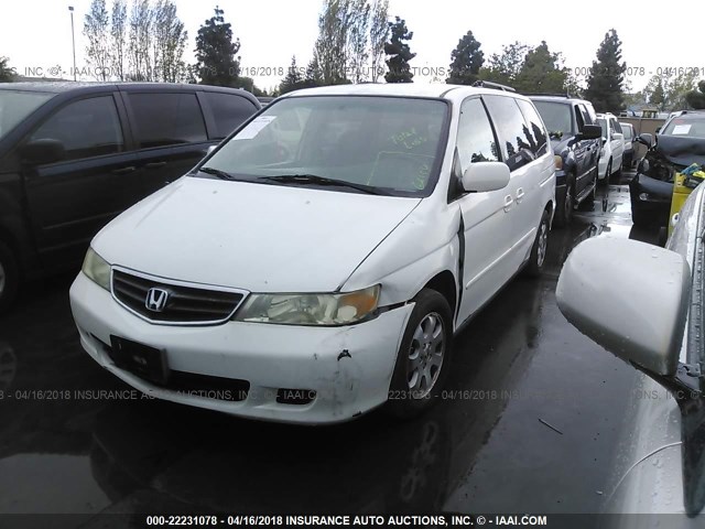 5FNRL18023B055810 - 2003 HONDA ODYSSEY EXL თეთრი ფოტო 2