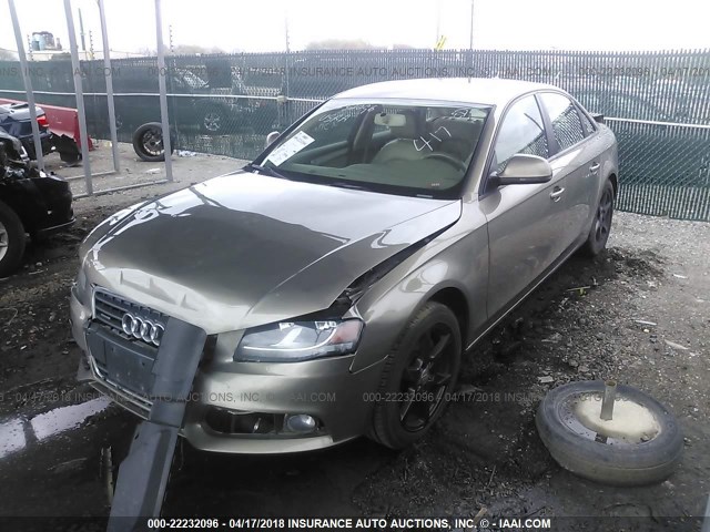 WAULF78KX9N037368 - 2009 AUDI A4 2.0T QUATTRO GOLD photo 2