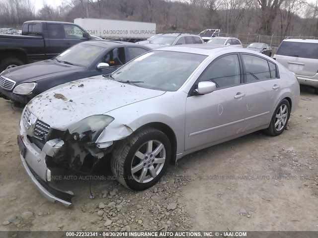 1N4BA41E34C854546 - 2004 NISSAN MAXIMA SE/SL GOLD photo 2