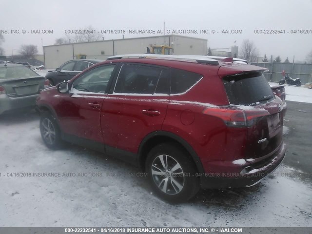 2T3WFREV5GW239387 - 2016 TOYOTA RAV4 XLE RED photo 3