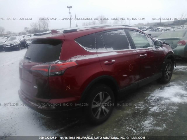 2T3WFREV5GW239387 - 2016 TOYOTA RAV4 XLE RED photo 4