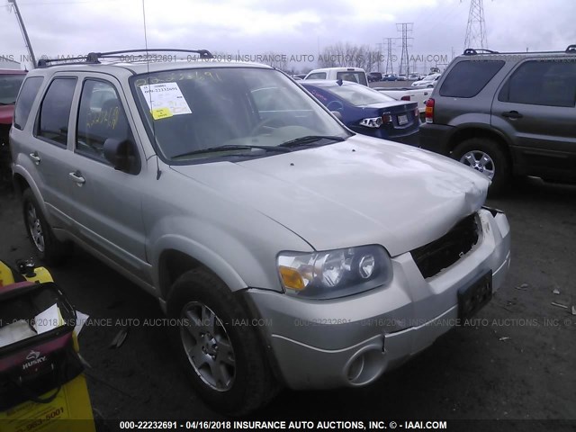 1FMYU941X5KA80705 - 2005 FORD ESCAPE LIMITED GRAY photo 1