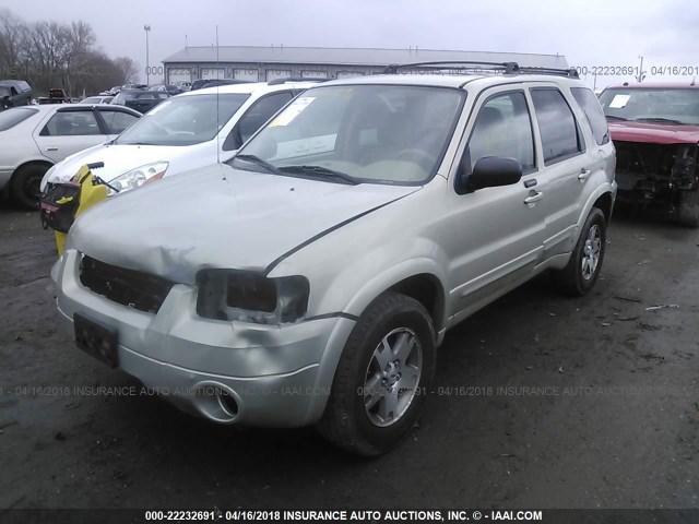 1FMYU941X5KA80705 - 2005 FORD ESCAPE LIMITED GRAY photo 2