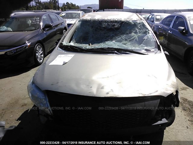 1NXBU40E69Z063489 - 2009 TOYOTA COROLLA S/LE/XLE GOLD photo 6