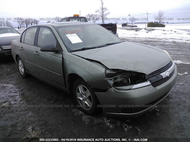 1G1ZT54864F243447 - 2004 CHEVROLET MALIBU LS 绿色 照片 1