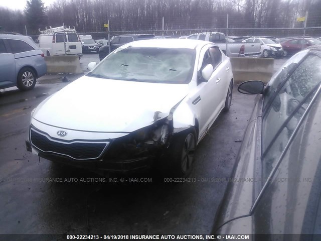 KNAGM4AD0B5003396 - 2011 KIA OPTIMA HYBRID WHITE photo 2