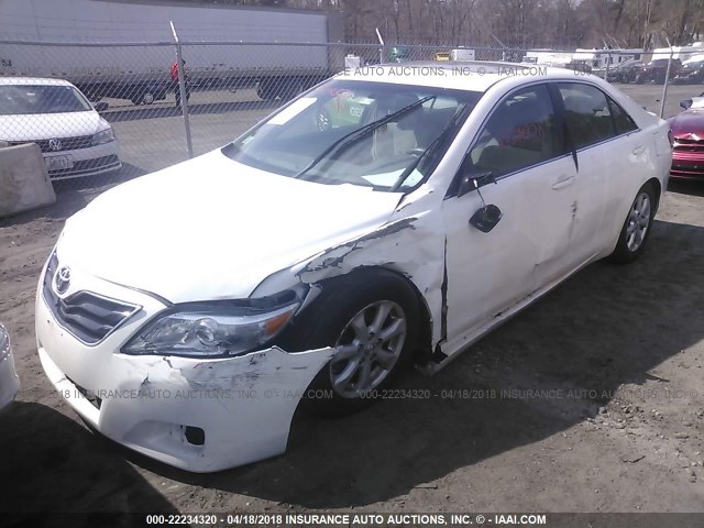 4T1BF3EK1BU648179 - 2011 TOYOTA CAMRY SE/LE/XLE WHITE photo 2