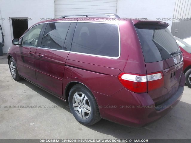 5FNRL38755B004863 - 2005 HONDA ODYSSEY EXL RED photo 3