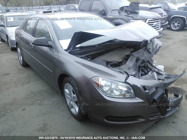 1G1ZB5E00CF148876 - 2012 CHEVROLET MALIBU LS Qəhvəyi foto 1