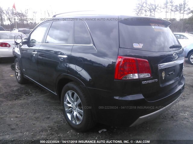 5XYKWDA21BG135404 - 2011 KIA SORENTO SX BLACK photo 3