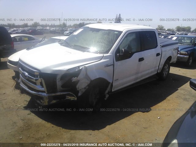 1FTEW1EG2FFA25844 - 2015 FORD F150 SUPERCREW WHITE photo 2