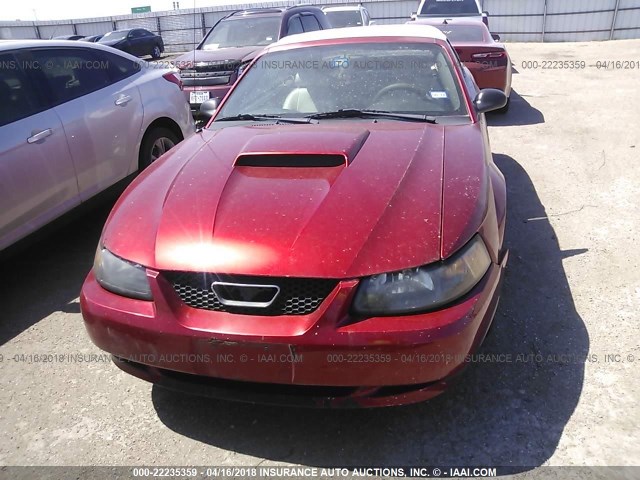 1FAFP44433F337442 - 2003 FORD MUSTANG RED photo 6
