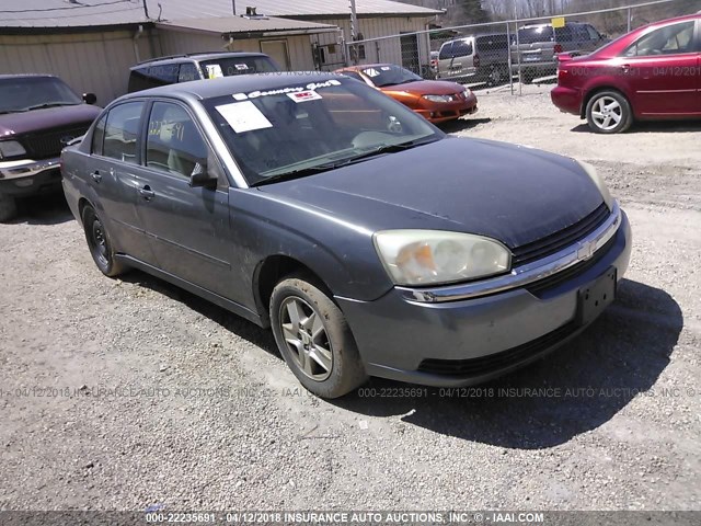 1G1ZT54875F116532 - 2005 CHEVROLET MALIBU LS 灰色 照片 1