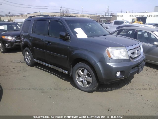 5FNYF4H56AB041020 - 2010 HONDA PILOT EXL GRAY photo 1