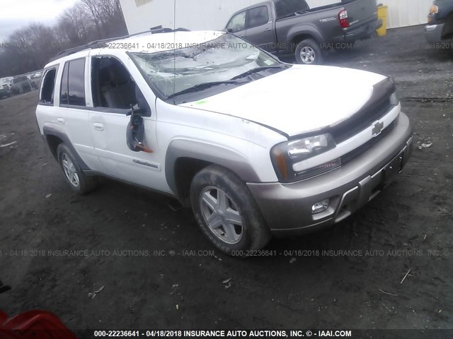 1GNDT13S332322174 - 2003 CHEVROLET TRAILBLAZER  WHITE photo 1