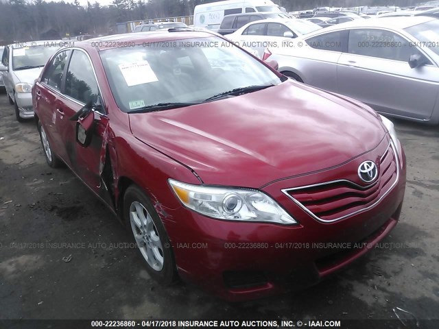 4T4BF3EKXBR194181 - 2011 TOYOTA CAMRY SE/LE/XLE RED photo 1
