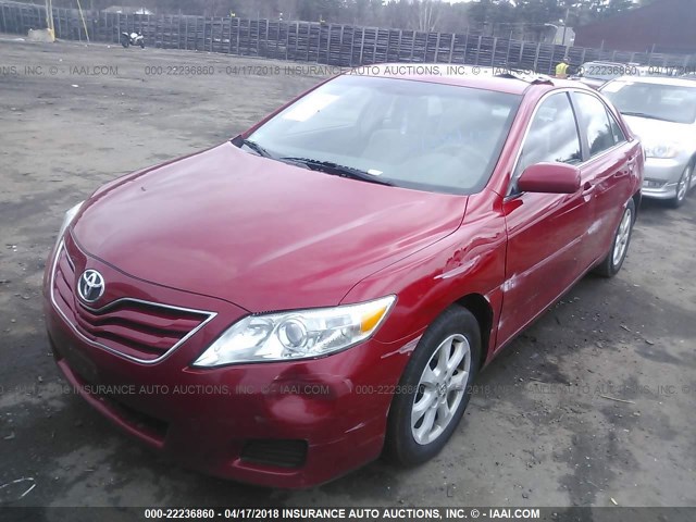 4T4BF3EKXBR194181 - 2011 TOYOTA CAMRY SE/LE/XLE RED photo 2