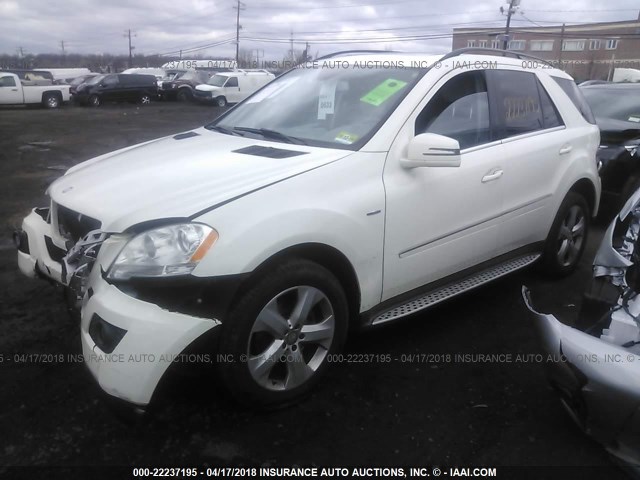 4JGBB2FB4BA729599 - 2011 MERCEDES-BENZ ML 350 BLUETEC WHITE photo 2