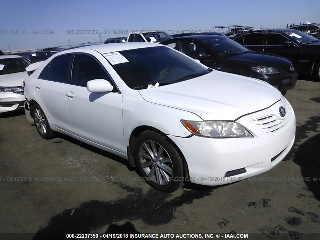 4T1BE46K59U835281 - 2009 TOYOTA CAMRY SE/LE/XLE WHITE photo 1