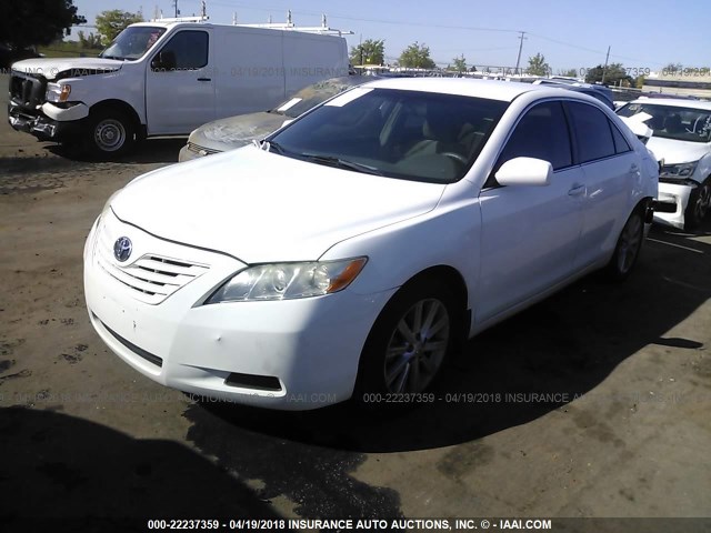 4T1BE46K59U835281 - 2009 TOYOTA CAMRY SE/LE/XLE WHITE photo 2