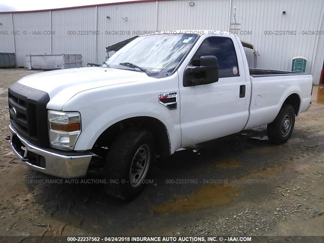 1FTNF2A51AEA84442 - 2010 FORD F250 SUPER DUTY WHITE photo 2