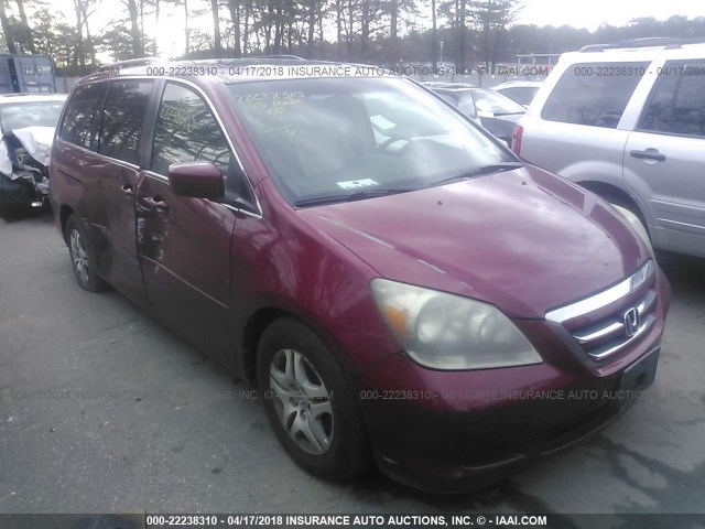5FNRL38735B025212 - 2005 HONDA ODYSSEY EXL წითელი ფოტო 1