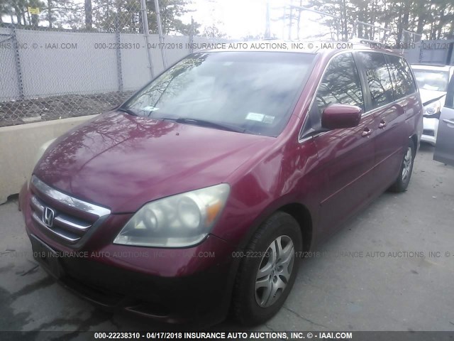 5FNRL38735B025212 - 2005 HONDA ODYSSEY EXL წითელი ფოტო 2