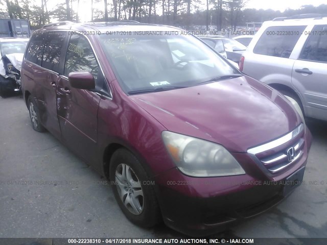 5FNRL38735B025212 - 2005 HONDA ODYSSEY EXL წითელი ფოტო 6