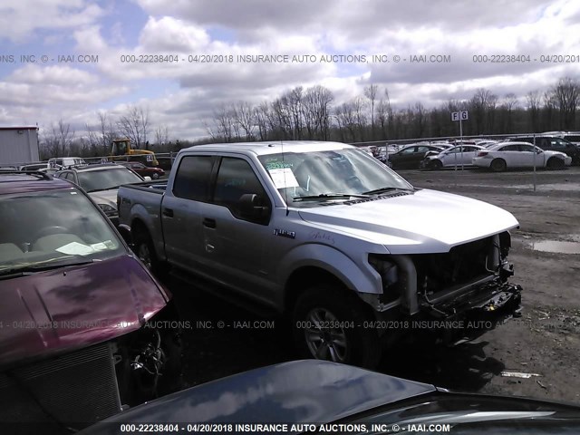 1FTEW1EGXFFC31140 - 2015 FORD F150 SUPERCREW SILVER photo 1