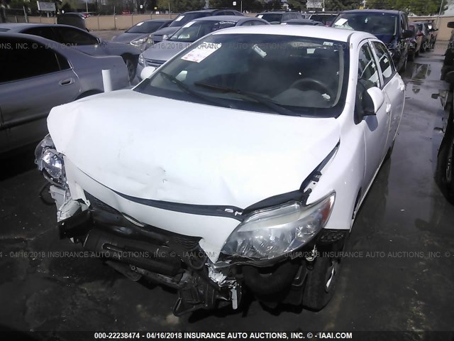 1NXBU4EE1AZ277559 - 2010 TOYOTA COROLLA S/LE/XLE WHITE photo 2