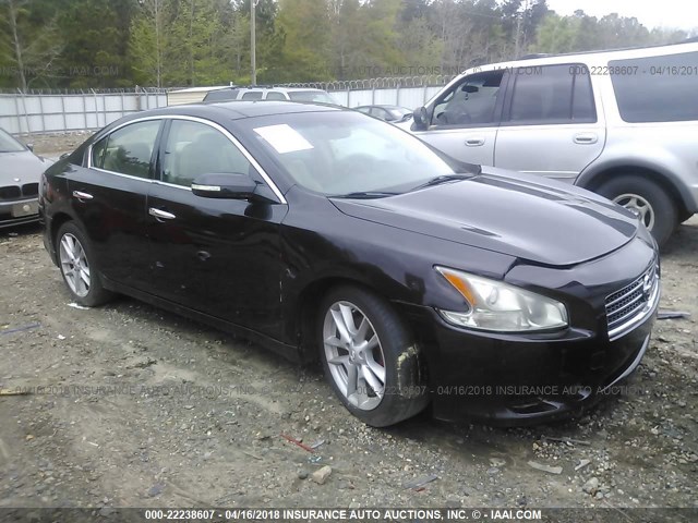 1N4AA5AP9BC804508 - 2011 NISSAN MAXIMA S/SV BLACK photo 1