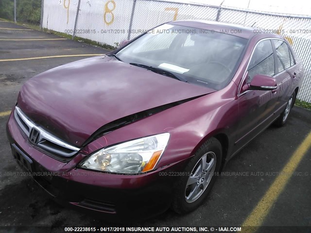 JHMCN36506C002162 - 2006 HONDA ACCORD HYBRID RED photo 2