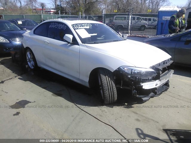 WBA1F5C58EV246132 - 2014 BMW 228 I WHITE photo 1