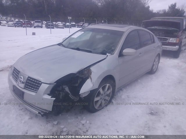 1N4BA41E56C828677 - 2006 NISSAN MAXIMA SE/SL SILVER photo 2