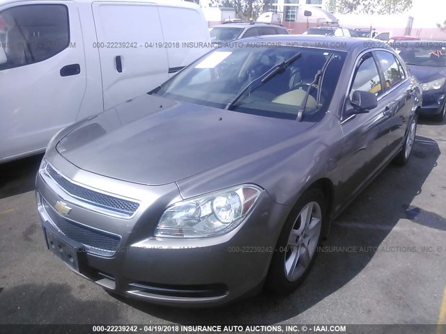 1G1ZB5E0XCF202619 - 2012 CHEVROLET MALIBU LS 灰色 照片 2