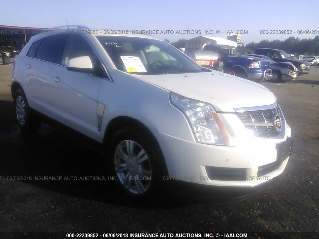 3GYFNAE38CS617433 - 2012 CADILLAC SRX LUXURY COLLECTION WHITE photo 1