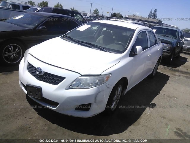 1NXBU4EE7AZ355214 - 2010 TOYOTA COROLLA S/LE/XLE WHITE photo 2