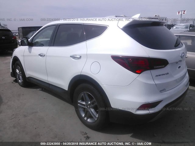 5XYZTDLB8HG441416 - 2017 HYUNDAI SANTA FE SPORT  WHITE photo 3