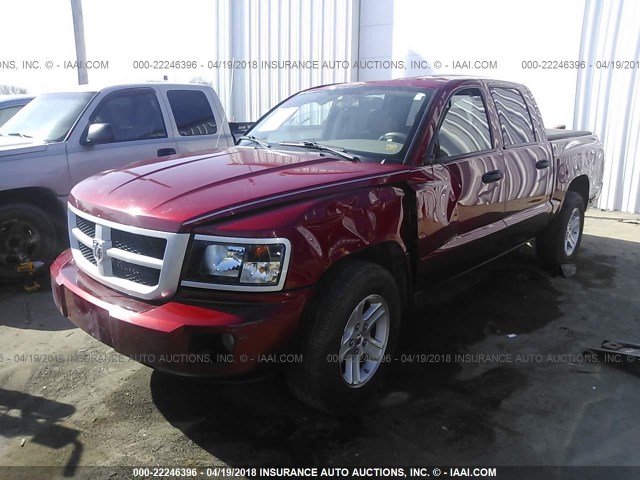 1D7CE3GKXAS105941 - 2010 DODGE DAKOTA SXT RED photo 2