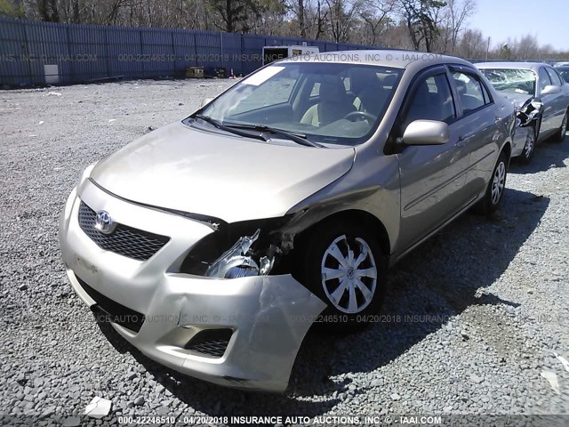 2T1BU4EE4AC258599 - 2010 TOYOTA COROLLA S/LE/XLE TAN photo 2