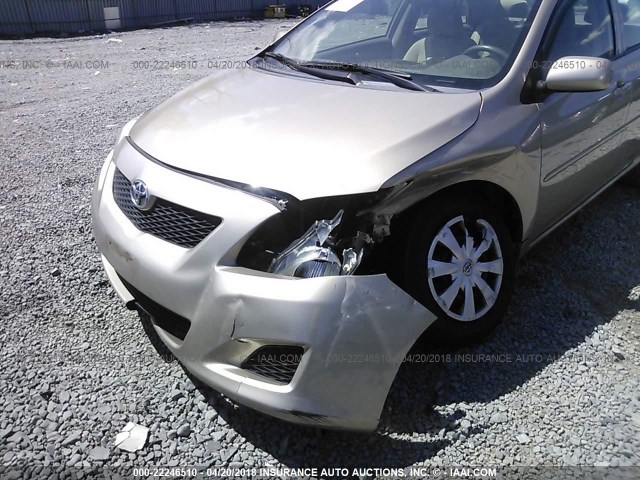 2T1BU4EE4AC258599 - 2010 TOYOTA COROLLA S/LE/XLE TAN photo 6