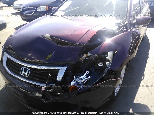 5KBCP3F8XAB009249 - 2010 HONDA ACCORD EXL BURGUNDY photo 6