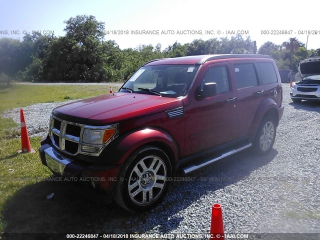 1D4PT2GK7AW142842 - 2010 DODGE NITRO SE RED photo 2