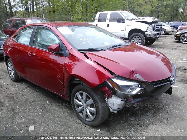 5YFBURHEXEP095309 - 2014 TOYOTA COROLLA L/LE/LE PLS/PRM/S/S PLS RED photo 1