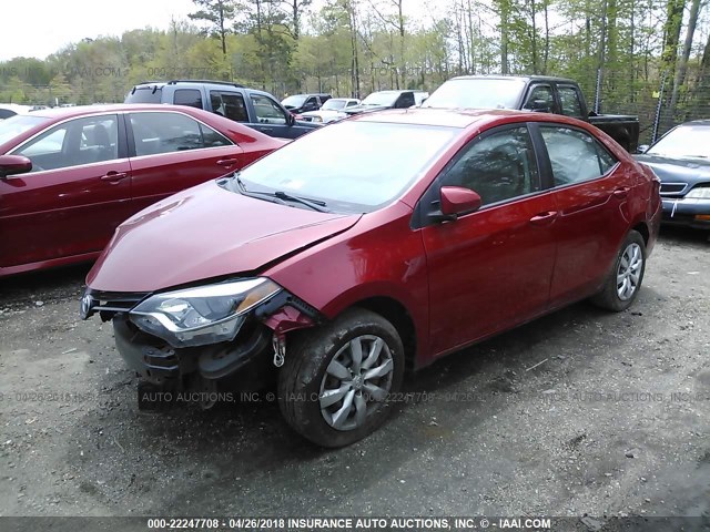 5YFBURHEXEP095309 - 2014 TOYOTA COROLLA L/LE/LE PLS/PRM/S/S PLS RED photo 2