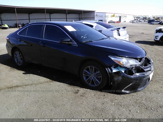 4T1BF1FK5FU497839 - 2015 TOYOTA CAMRY LE/XLE/SE/XSE BLACK photo 1