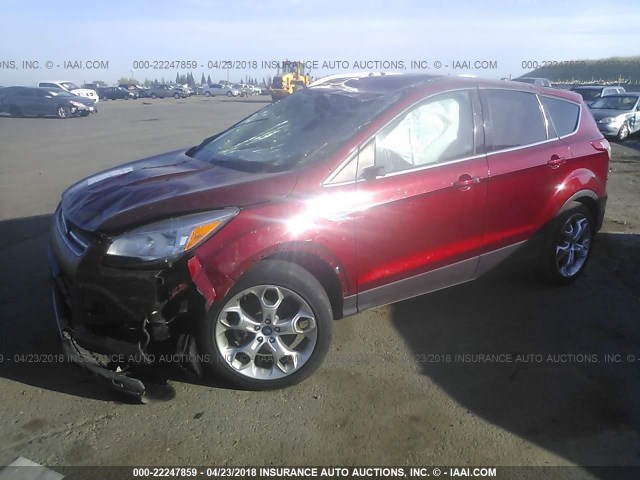 1FMCU9J9XEUA22683 - 2014 FORD ESCAPE TITANIUM RED photo 2